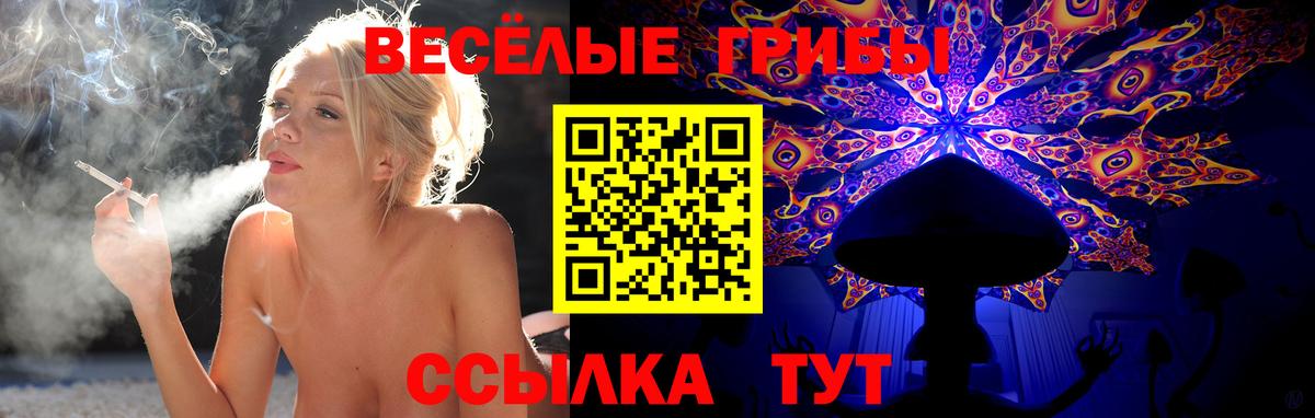 Ртищево  Галлюциногенные грибы мухоморы  Вход с VPN 