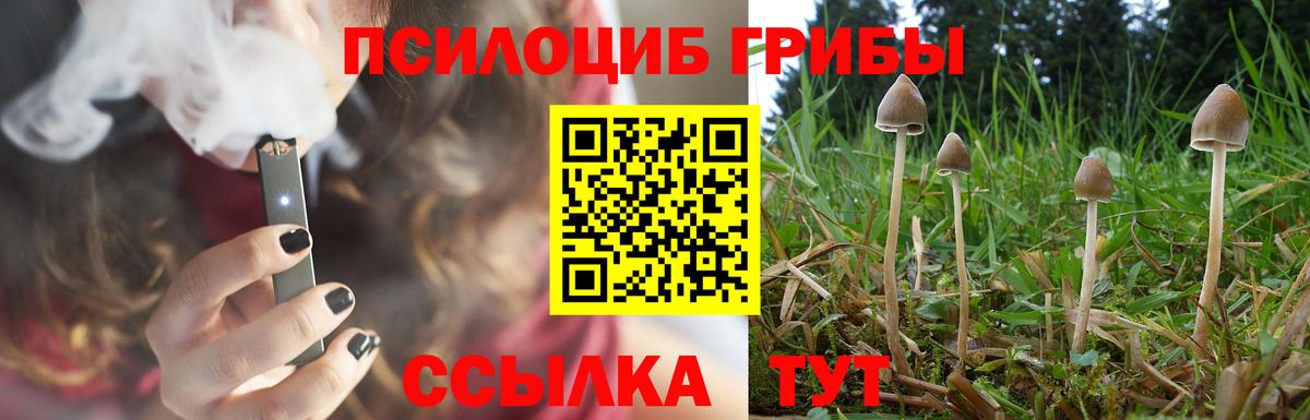 Псилоцибиновые грибы Cubensis Ртищево